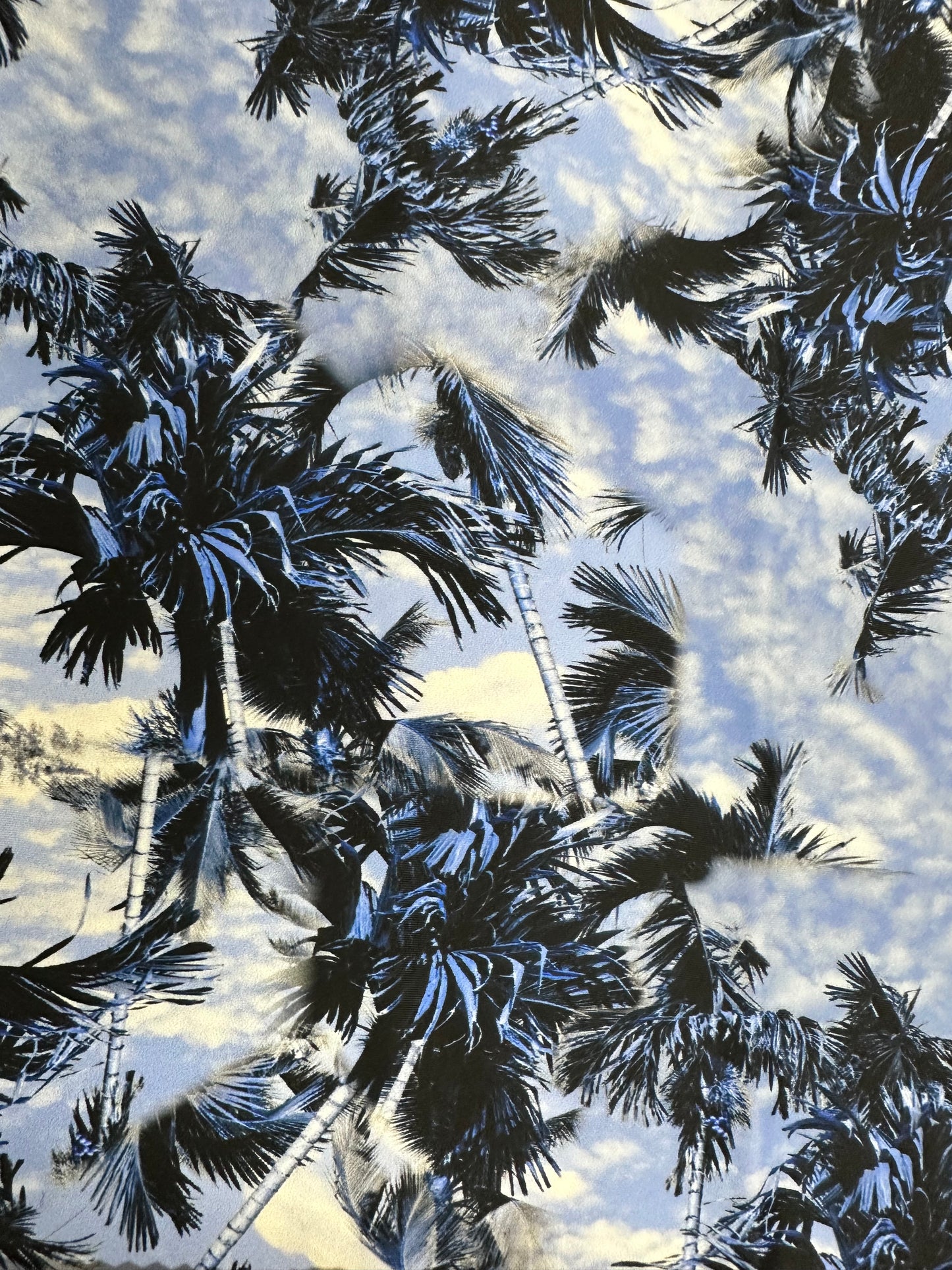βοΈ Lorelei's Summer Skies π΄π